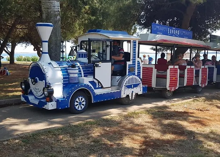 House Palmera 2
